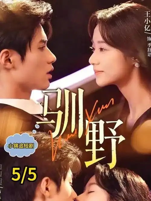 第九十九次日落 国产都市剧在线观看